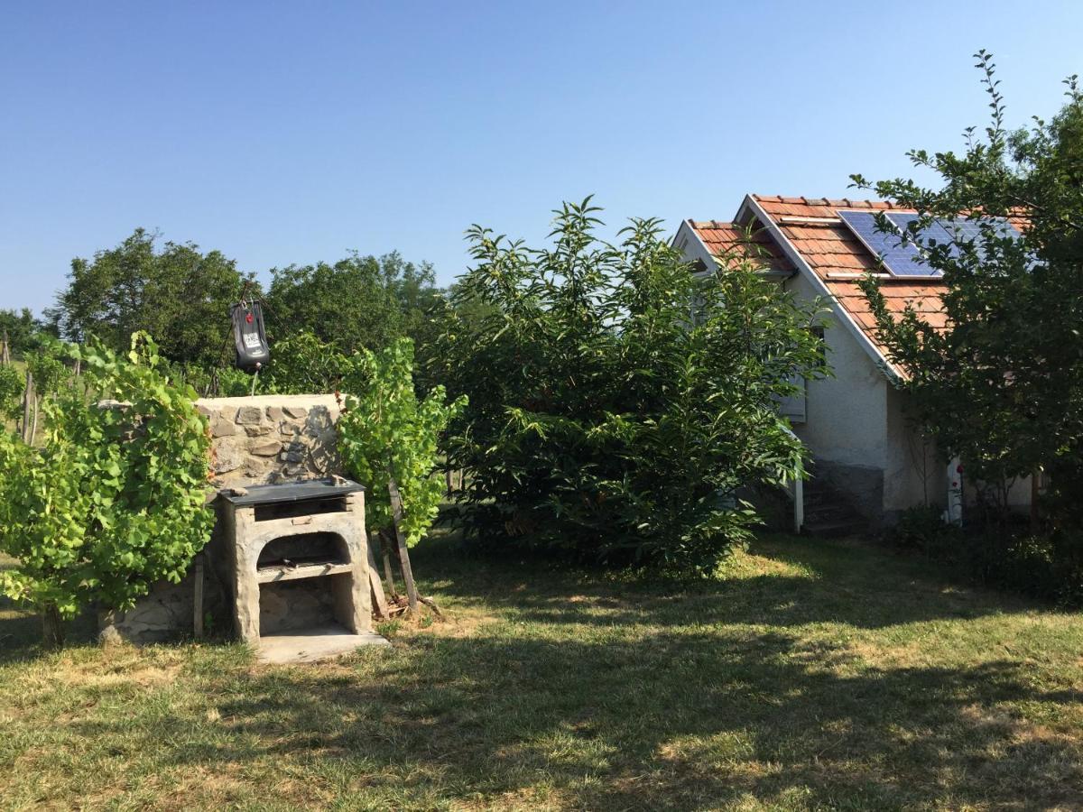 Csobanc Szerelem-Nemzeti Park-Oenallo Haz - Klimatizalt Gyulakeszi Dış mekan fotoğraf