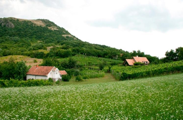 Csobanc Szerelem-Nemzeti Park-Oenallo Haz - Klimatizalt Gyulakeszi Dış mekan fotoğraf