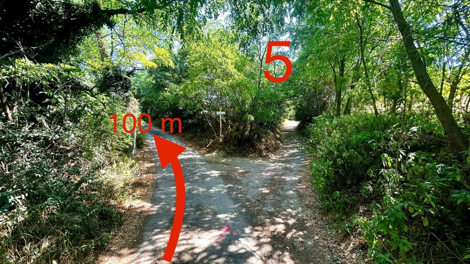 Csobanc Szerelem-Nemzeti Park-Oenallo Haz - Klimatizalt Gyulakeszi Dış mekan fotoğraf