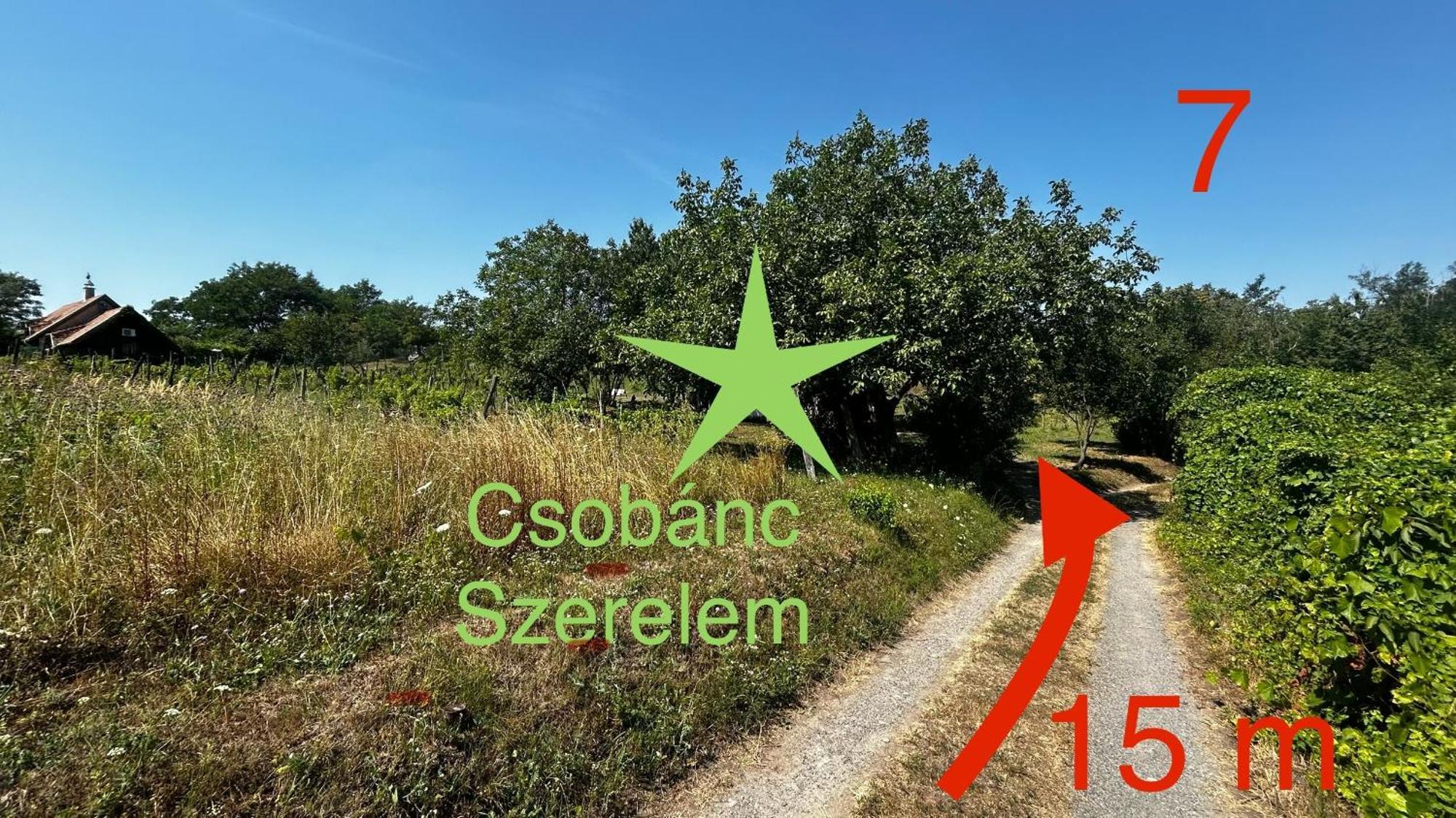 Csobanc Szerelem-Nemzeti Park-Oenallo Haz - Klimatizalt Gyulakeszi Dış mekan fotoğraf